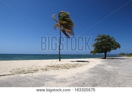 Tropical Ancon Beach in Trinidad Cuba with palm tree