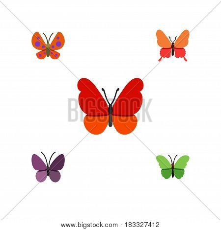Flat Monarch Set Of Milkweed, Violet Wing, Moth And Other Vector Objects. Also Includes Insect, Moth, Butterfly Elements.