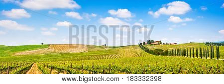 Panoramic View Of Scenic Tuscany Landscape With Vineyard In The Chianti Region, Tuscany, Italy