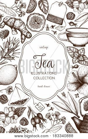 Vector card design with hand drawn tea illustration. Decorative inking background with vintage tea sketch. Sketched template