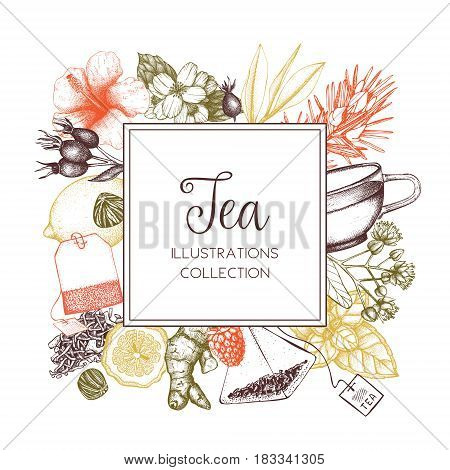 Vector card design with hand drawn tea illustration. Decorative inking background with vintage tea sketch. Sketched template