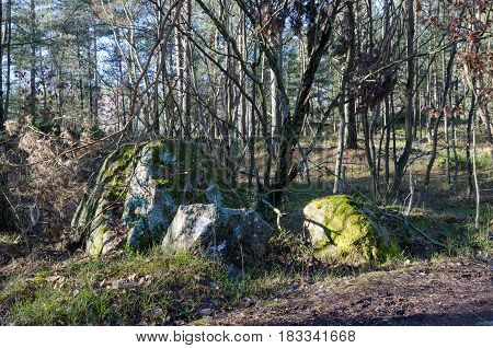 one forrest with two big stone with moss on