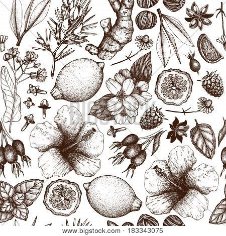 Vector background with hand drawn tea illustration. Decorative seamless pattern with vintage herbs and fruits sketch.