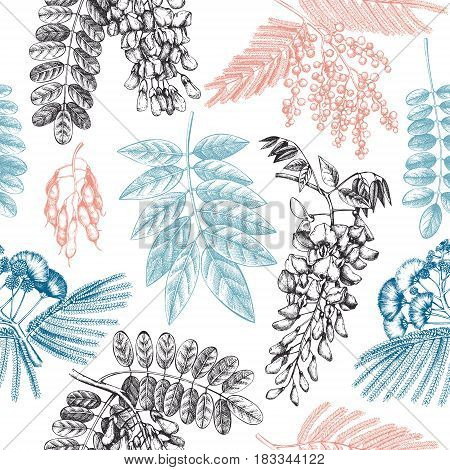 Vintage seamless pattern with Wisteria, Silver wattle, Albizia, Black Locust flowers.