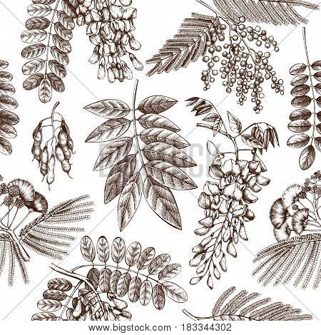 Vintage seamless pattern with Wisteria, Silver wattle, Albizia, Black Locust flowers.