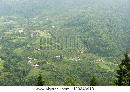 Macahel Valley In Eastern Black Sea, Artvin, Turkey.