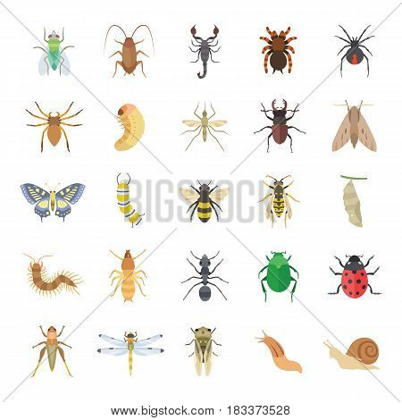 25 Insects color vector icons set collection