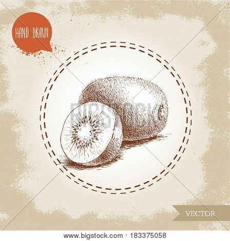 Hand drawn sketch style kiwi fruit vector illustration. Vintage design isolated on grunge background.
