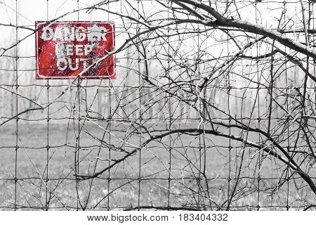 Red Danger sign posted to barbed fence tangled in branches warning people to keep out. Sign in top left corner. Red color isolated.