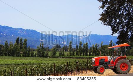 Red tractor parked near vineyard with tall trees and mountain in the distance