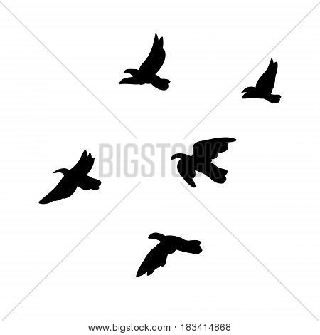 Black flying birds flock concept in monochrome style on white background isolated vector illustration