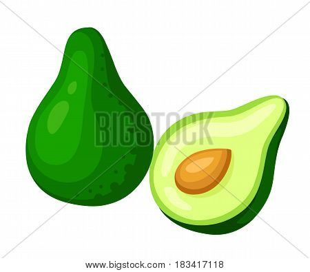 Vector Avocados Illustration. Whole And Cut Avocado Isolated On White Background.