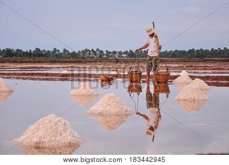 People Working On Salt Field In Cambodia