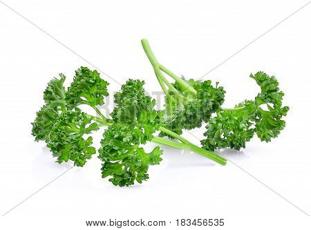 fresh parsley isolated on the white background
