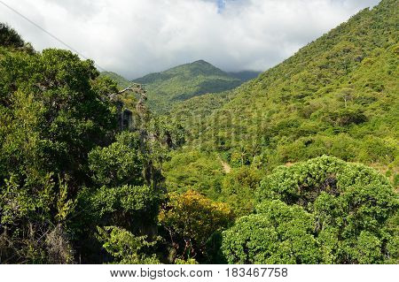 Mountain range Sierra Maestra National Park on Cuba
