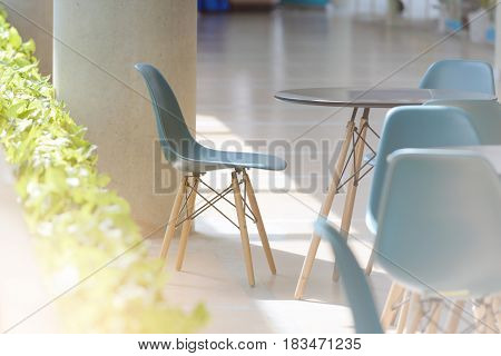 modern chairs and table with natural ight