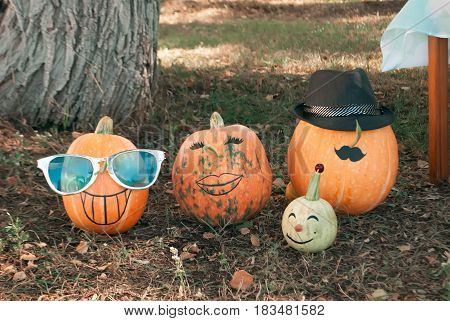 The Faces Of The Pumpkins In The Park,