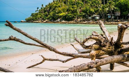 Haad Salad Beach on Koh Phangan Island in Gulf of Thailand during Monsoon Season, Thailand