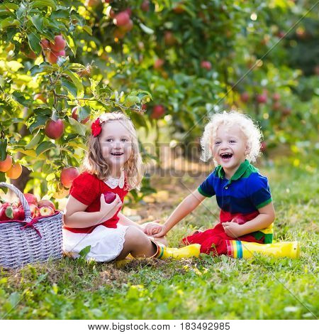 Kids Picking Apples In Fruit Garden