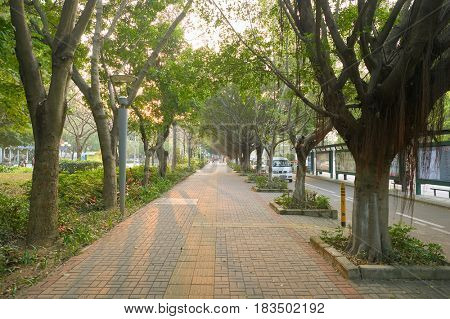 SHENZHEN, CHINA - MARCH 01, 2016: a sidewalk in Longgang District. Longgang District is one of the six districts of Shenzhen, China.