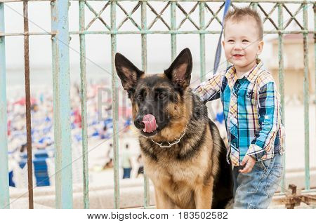 TEL AVIV, ISRAEL. May 6, 2014. Happy Caucasian little boy with a German shepherd dog sticking tongue.