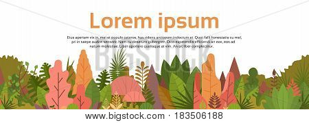 Colorful Forest Over White Copy Space Woods Banner Flat Vector Illustration