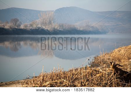 Morning on the river early morning reeds mist fog and water surface on the river