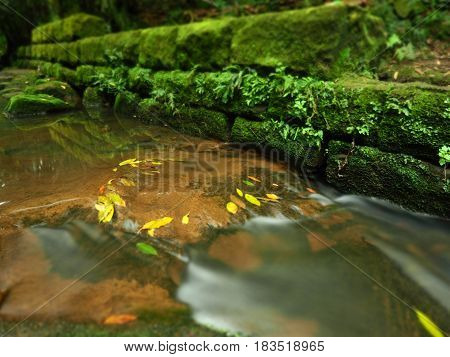 Small beautiful river in the deep forest