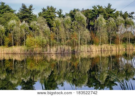 Grugnotorto park (Brianza Lombardy Italy): the little lake at fall