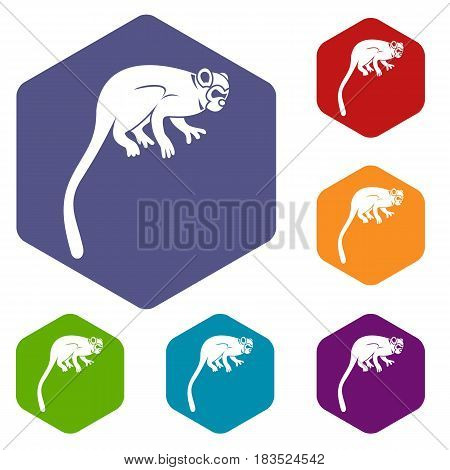 Marmoset monkey icons set hexagon isolated vector illustration