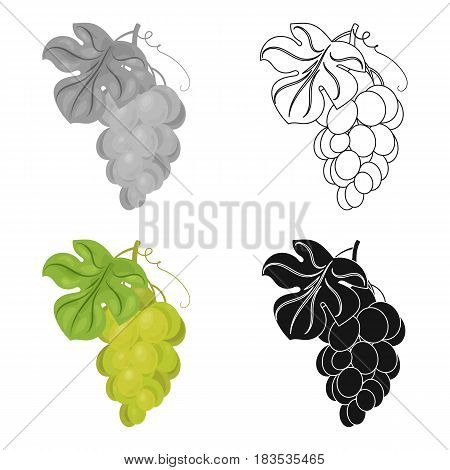 Bunch of yellow grapes icon in cartoon design isolated on white background. Wine production symbol stock vector illustration.