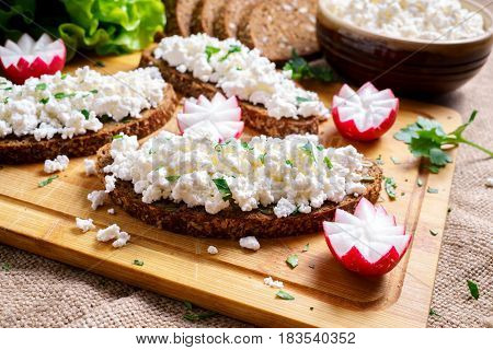 Homemade toast with Cottage Cheese and parsley radish.