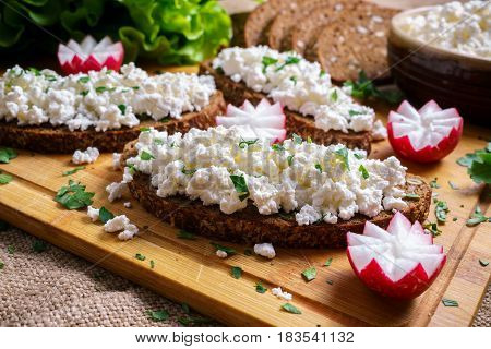 Homemade toast with Cottage Cheese and parsley, radish.