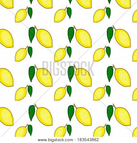 Citrus motive. Seamless vector food pattern. Ripe lemon on a white background. Hand drawn vector seamless pattern with yellow fruits.