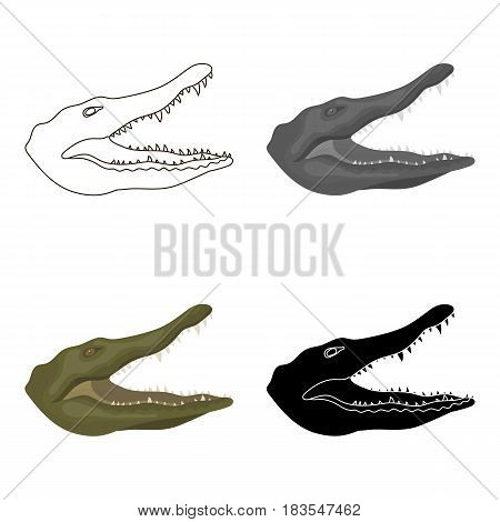Crocodile icon in cartoon design isolated on white background. Realistic animals symbol stock vector illustration.