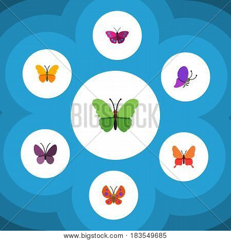 Flat Monarch Set Of Moth, Archippus, Butterfly And Other Vector Objects. Also Includes Monarch, Archippus, Milkweed Elements.