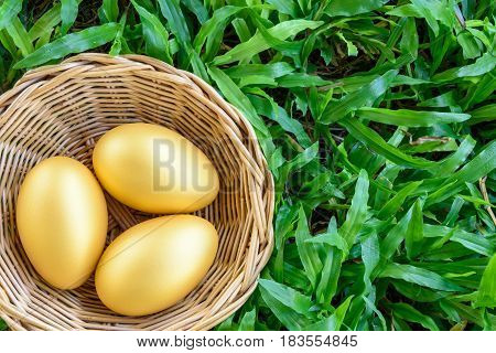 Three golden eggs in a rattan basket on green grass. Can be used as metaphors for investors who manage assets for long term sustainable growth like a goose lays golden eggs for them every day forever.