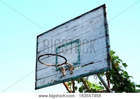 Closeup of old basketball hoop with vines and blue sky background.