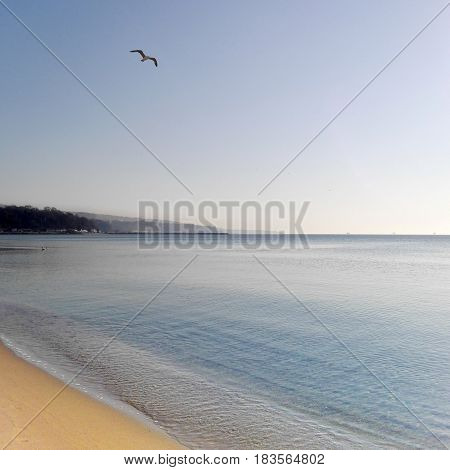 Photo of the beach early in the morning. Seascape.