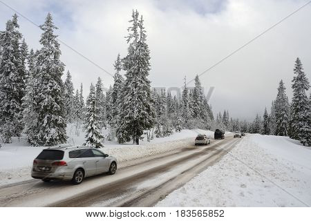 Road through a Winter Wonderland - Salen in Sweden.