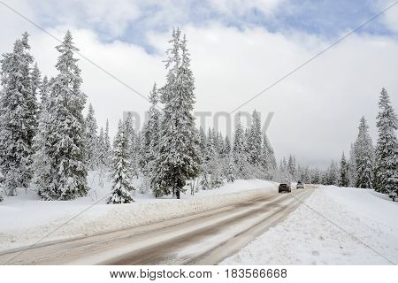 Road through a Winter Wonderland - Salen in Sweden.