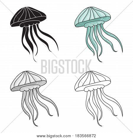 Jelly fish icon in cartoon design isolated on white background. Sea animals symbol stock vector illustration.
