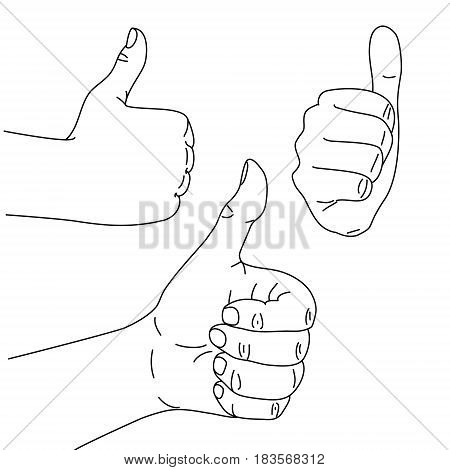Thumb up hand symbol on a white background, different positions
