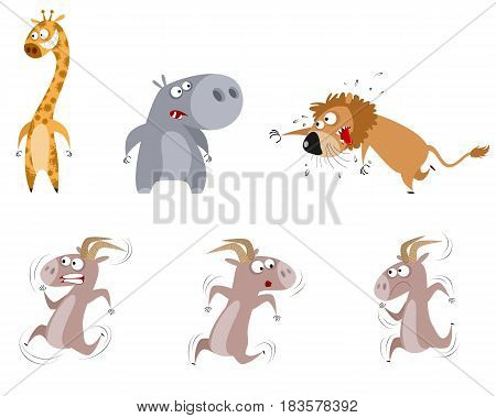 Vector illustration of a six animals set
