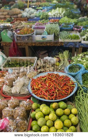 Lao Phonsavan Town Market Fegetable