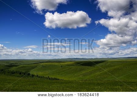 Summer landscape: a wide field and blue sky. Rolling plain green plain and cloudy sky.