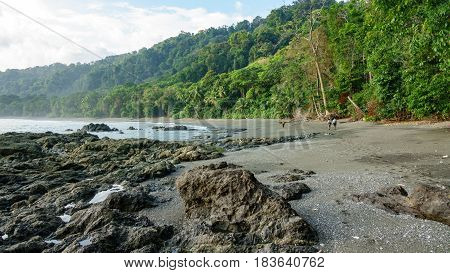 Tourists walking in Corcovado National Park beach and forest, Osa Peninsula, Costa Rica