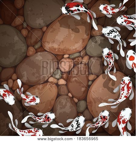 carps koi fish underwater pond vector illustration