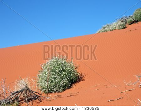 Dune di sabbia rossa