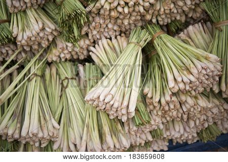 Laos Vientiane Talat Sao Market